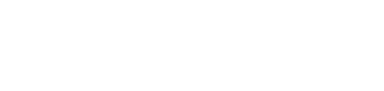 PolySight Wordmark